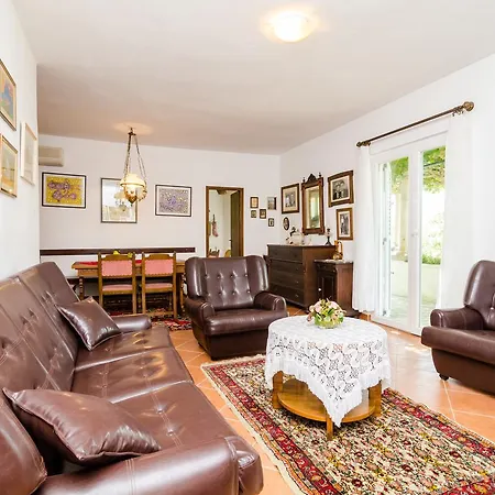 Field Of Olives * Gruda