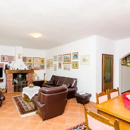 Field Of Olives Gruda