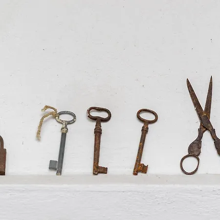 Field Of Olives Gruda