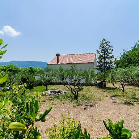 Ferienhaus Field Of Olives Gruda