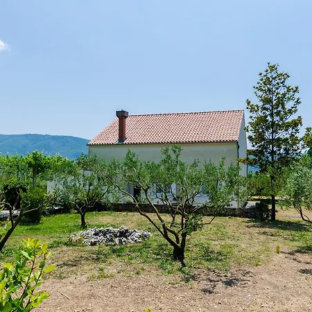 Field Of Olives Ferienhaus *