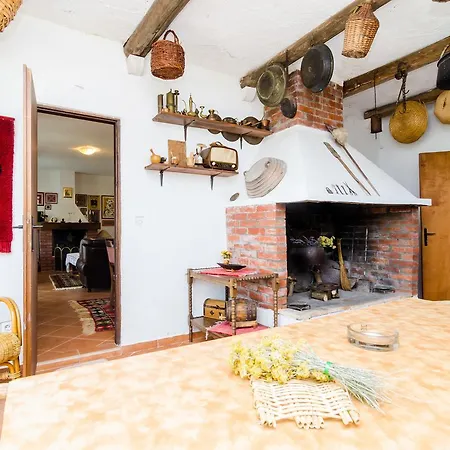 Field Of Olives Gruda