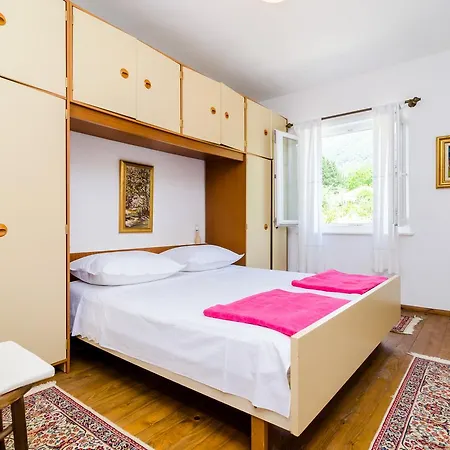 Field Of Olives Gruda