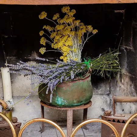 Holiday home Field Of Olives