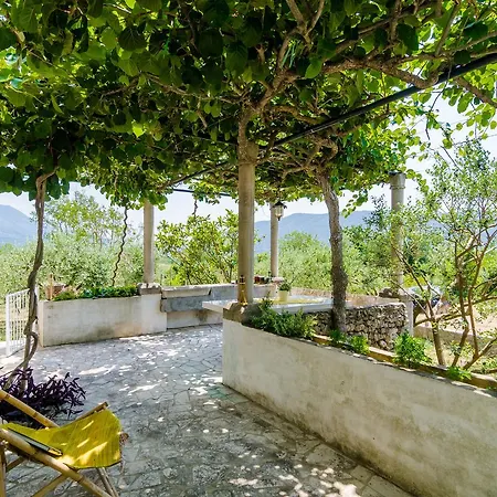 Field Of Olives Holiday home