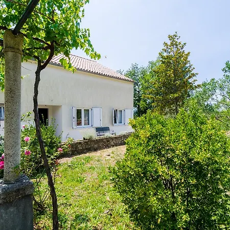 Field Of Olives Holiday home
