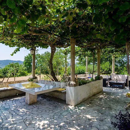 Holiday home Field Of Olives Gruda