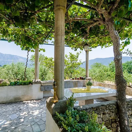 Holiday home Field Of Olives *